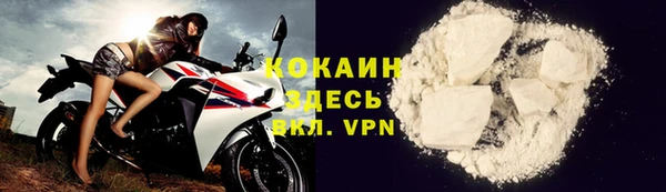 соль ск Алексин