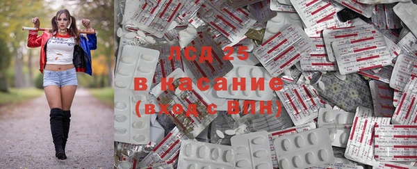 гашик Алзамай
