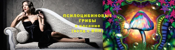 соль ск Алексин
