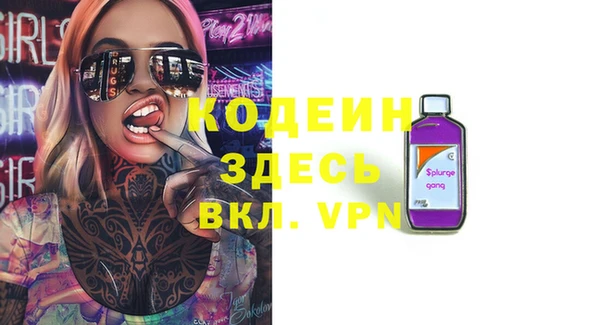 гашик Алзамай