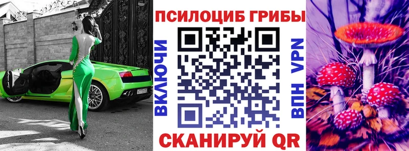 Псилоцибиновые грибы GOLDEN TEACHER Салехард