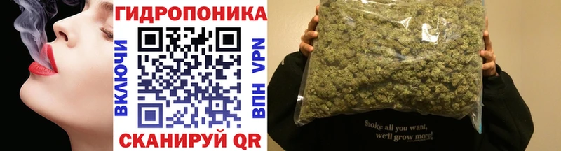 Марихуана конопля Салехард